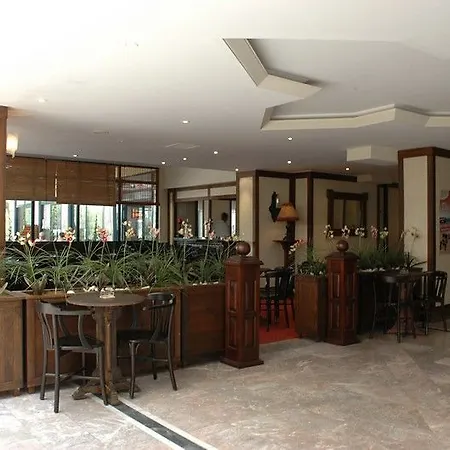 Noa Nergis 3* Icmeler